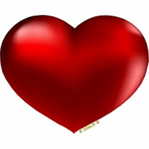 heart coeur t-shirts