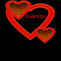 Heart Darwin Template Shirt