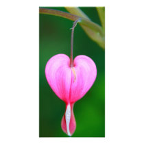 Heart Flower