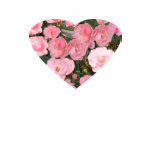 Heart full of Roses Heart full of Roses