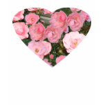 Heart Full of Roses Tshirt for women Heart Full of Roses Tshirt for women