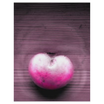 Heart fungus flyers by Boogybunny Heart fungus flyers