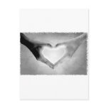 Heart Hands B&W Photo Post Card
