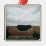 Heart Hill at Niner Estates, in Autumn Christmas Tree Ornament