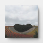 Heart Hill at Niner Estates, in Autumn Plaques