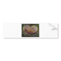 Heart Image Peachy Rose Bumper Sticker