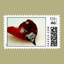 Heart Leaf stamps