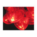 Heart Light Postcard