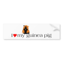 I Heart My Guinea Pig Lyric Bumper Sticker