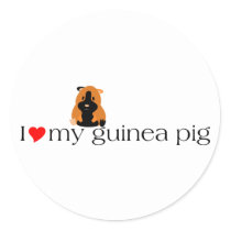 I Heart My Guinea Pig Lyric Stickers