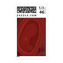 Heart of a Fetus Stamp