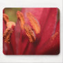 Heart Of A Lily Mouse Pad