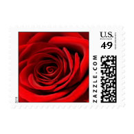 Heart of a Red Rose Postage
