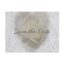 Heart of a Rose postcards by SeaAngel Heart of a Rose postcards