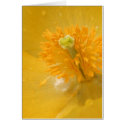 heart of gold cards by heysje heart of gold cards