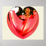 Heart of Hibiscus Poster