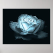 heart of ice rose poster