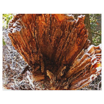 Heart of Nature Personalized Flyer
