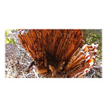 Heart of Nature Picture Card