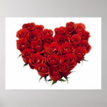 Heart of Red Roses Poster