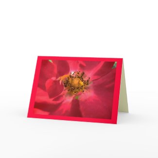 Heart of Rose Birthday card