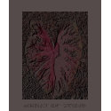 Heart of Stone t-shirts