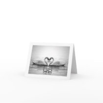 Heart of Swans cards