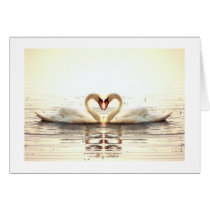 Heart of Swans cards