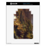 Heart of the Andes Detail by Frederic Edwin Church Skins For The Kindle