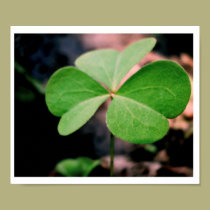 Heart Shamrock posters