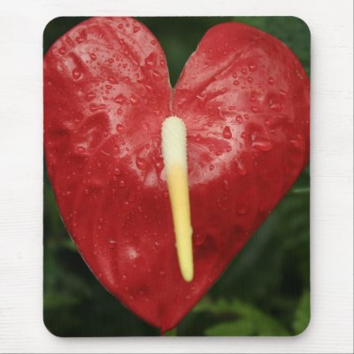 Heart Shaped Bloom Mousepad by kimboj1