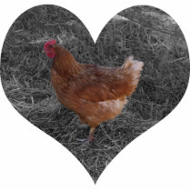 Heart Shaped Chicken Christmas Ornament photo sculptures