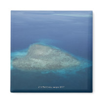 Heart shaped coral reef fridge magnet