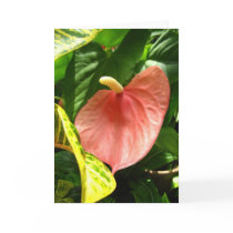 Heart-shaped flower greeting card