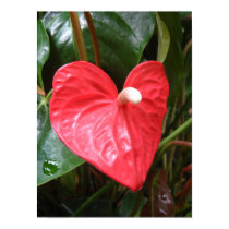 Heart shaped flower poster posters