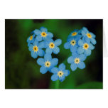 Heart Shaped Forget-me-not Flowers Cards