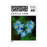 Heart Shaped Forget-me-not Flowers stamp