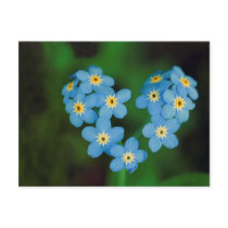 Heart Shaped Forget-me-not Flowers postcards by beverlytazangel Heart Shaped Forget-me-not Flowers postcards