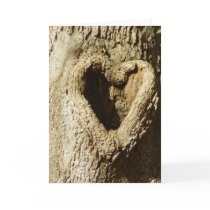 Heart Shaped Knothole in tree Card