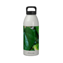 Heart Shaped Leaves Vine Drinking Bottle