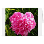 Heart Shaped Peony Greeting Card