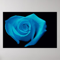 Heart Shaped Rose, Aqua Print