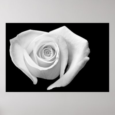 Heart Shaped Rose, Black and White Posters