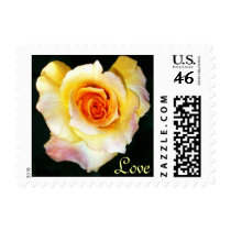 Heart Shaped Rose Love Postage postage