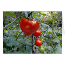 Heart Shaped Tomato "PICK ME!" Greeting Card