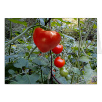 Heart Shaped Tomato "To a real cute Tomato" Card