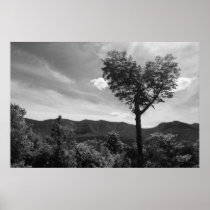 Heart Shaped Tree Poster