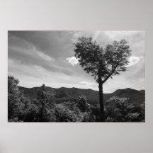 Heart Shaped Tree Poster