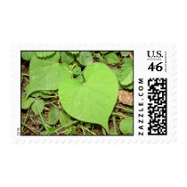 Heart Shaped Vine Postage Stamp