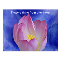 Heart to heart lotus flower postcards
